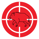 Feral pig pest control